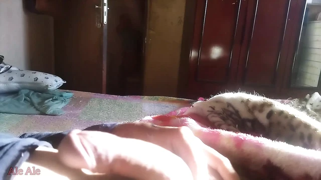 Hard Dick. Sunlight Morning