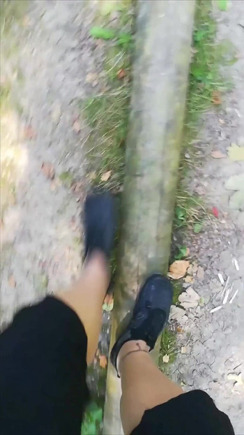 Pregled videozapisa
