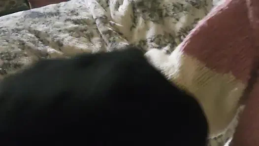 Goode Girl Nylonplay with Hubby's Cock and Balls