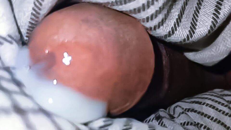자취방 보지