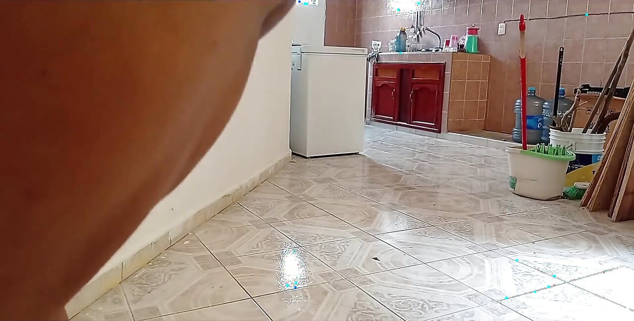 The Lady Who Cleans the House