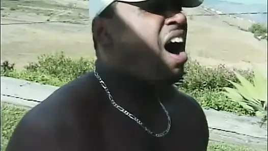 Busty Black Girl with Hairy Pussy Fucked and Cummed in Mouth by Big Black Cock