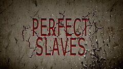 Sklavin gesammelt, trainiert, zur Auktion gequält