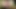 Double blowjob cumshot slowmotion
