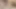 Azgın boğa Asyalı orta yaşlı seksi kadın sert boşalana kadar yalıyor