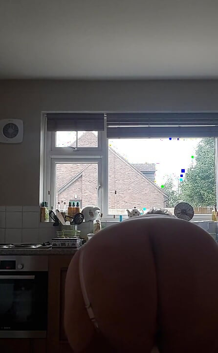 White sussies and bum in the kitchen today!