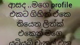 Srilankan free sex chat