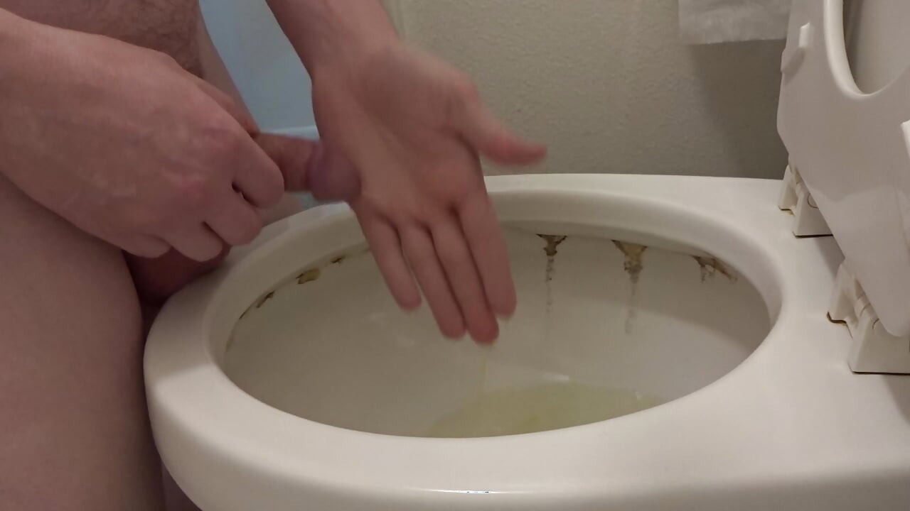 Piss and toilet play