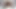 Siyah vücut çorapları, büyük dildo, fışkırtma