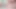 Hot cumming Prostate pound prolapse with n joy eleven tease gaped anal rosebud sissy boy training part 5
