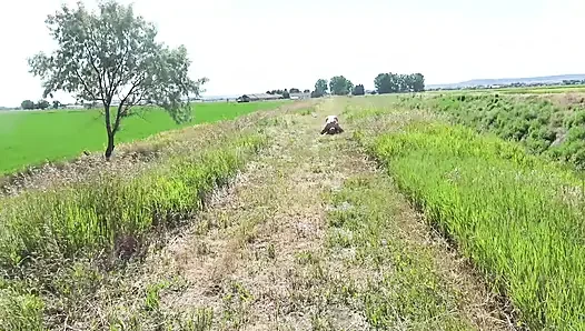 Моя глупая раком рабыня!