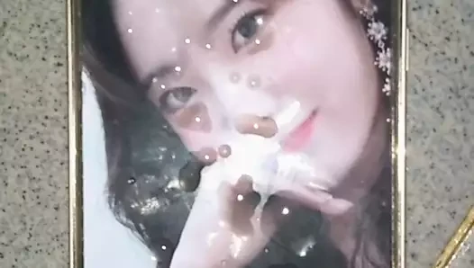 Wjsn luda döl haraç