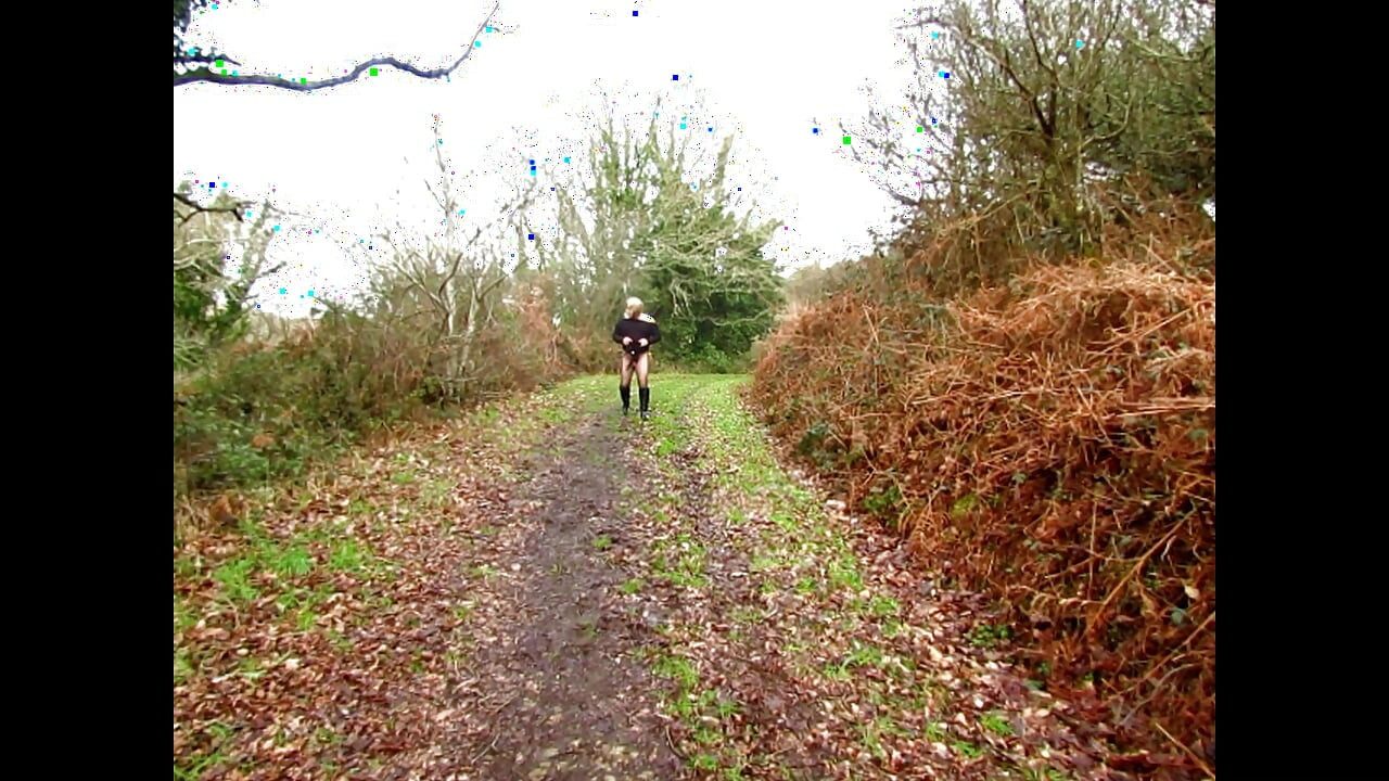 自然界での展示