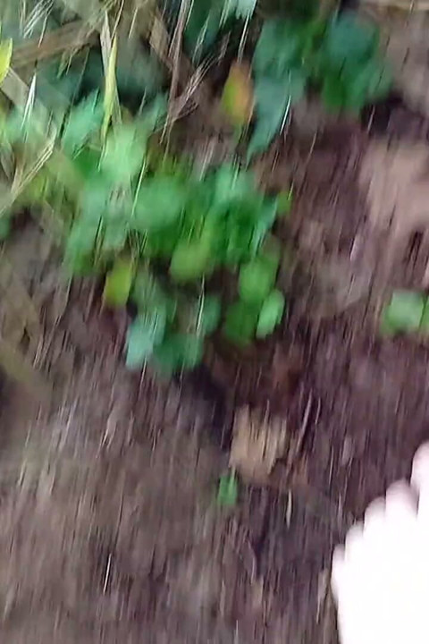 Dirty Feet Outside
