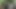 Не позволяй этой нежной блондинке внешностью обмануть тебя, потому что она анальная шлюшка для большого черного члена