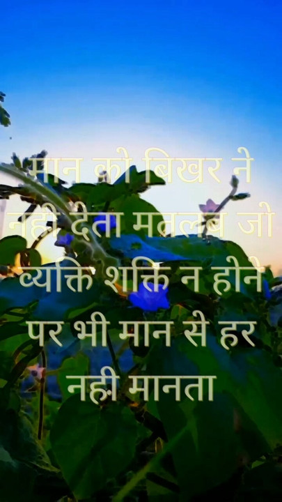 .nature lover