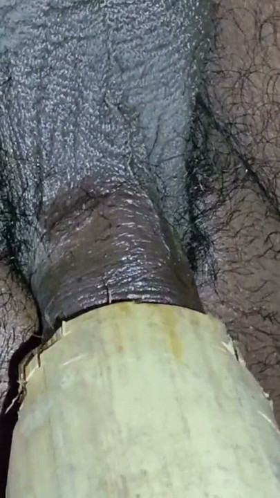 Indiano adolescente garoto fode um buraco de bambu para gozar e derrama muita porra dentro dele | Clipe 3