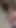 Daddy Masturbates beautiful dick