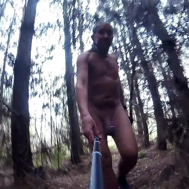 Mokar dan u šumi