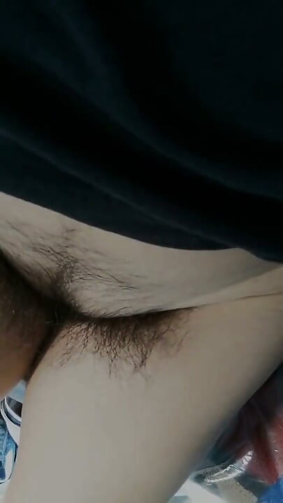 Panochita sem pelos