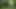 Dbm-familycastle