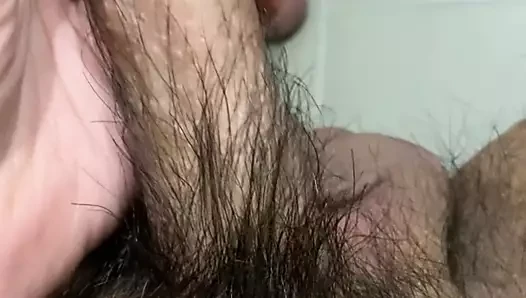 Küçük Asya çük dik