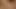 Sağlıklı bir adam küçük bir kedi nüfuz 18+