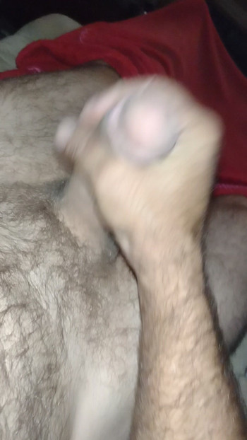 Sadece boşaltmam gerekiyordu
