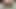 Kenikmatan anal untuk pelacur ebony