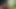 Another Masturbation Session in the Woods
