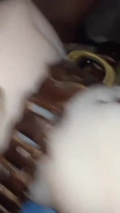 セックスマシンの射精。ジューシーな射精。自家製の機械。|クリップ1