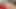 Hot Latino Couple Kissing And Blowing Cock - Special