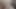 My lifeless cock after 1 week with no testosterone