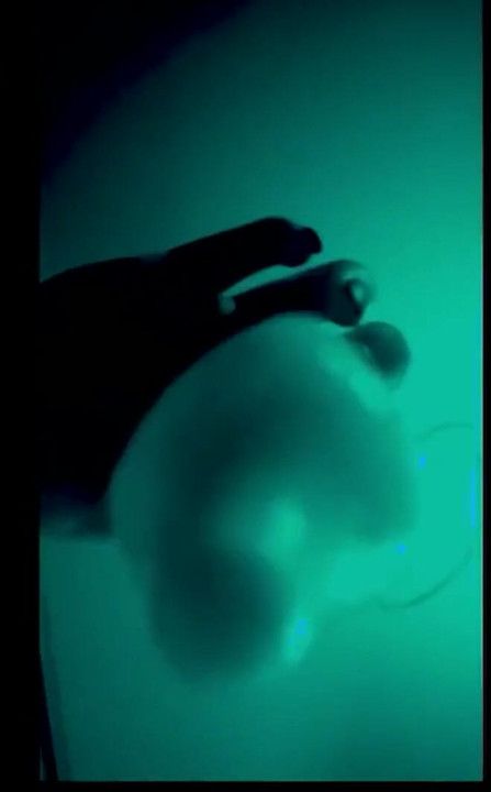 CEI for First Timers Condom Drain Version