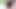 Japanese old man masturbation erect penis semen flows