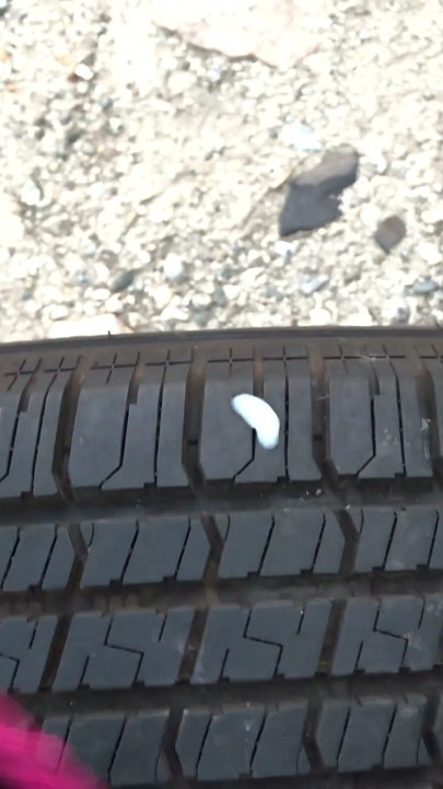 Fucking Victorias Secret Bra on top a Tire | Clip 1
