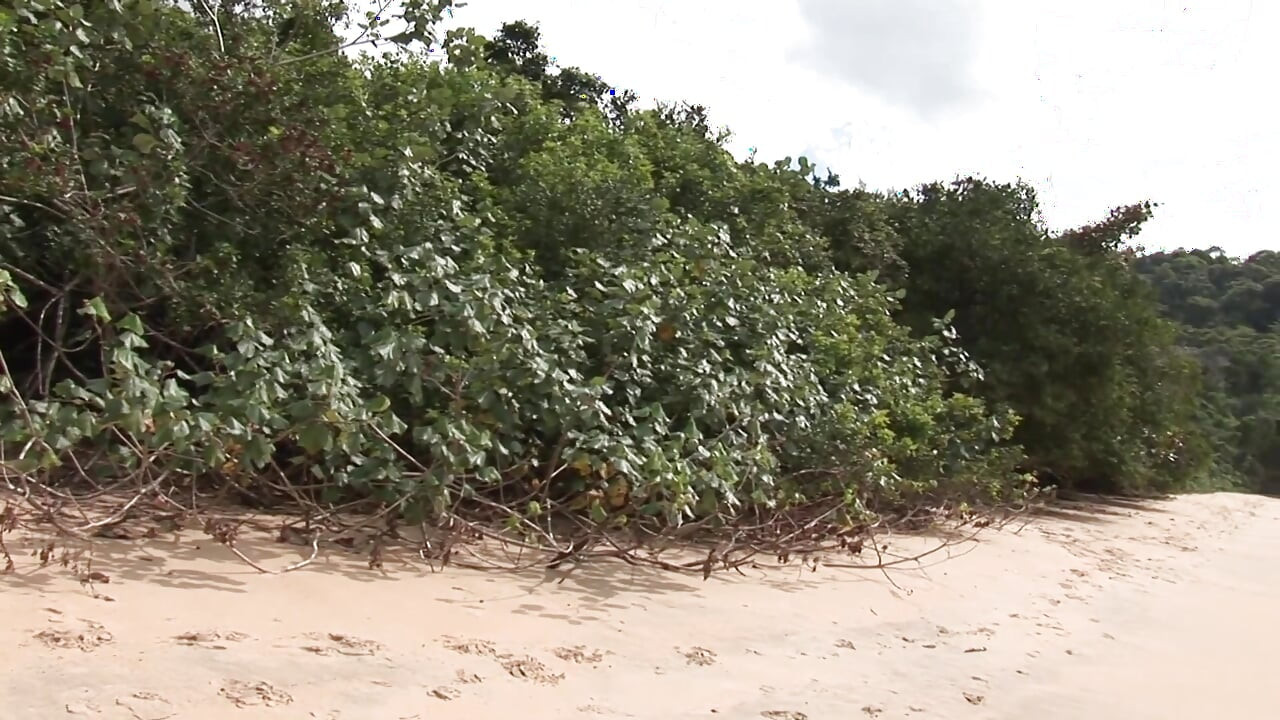 Sesso in spiaggia- Gay