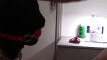 Pratinjau video