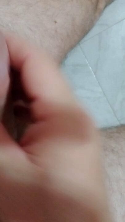 Paja rapida