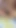 Veggie Dildo | Klip 1