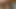 Private video of a couple fucking