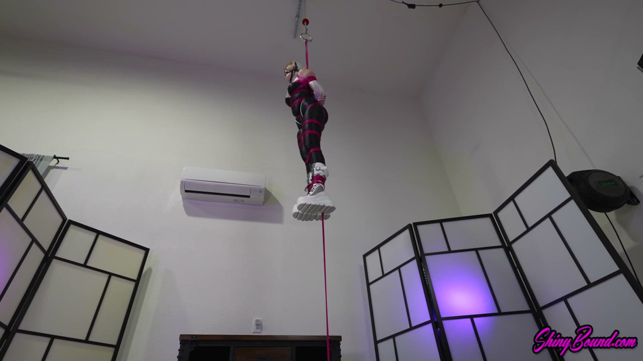 Spider Gwen Suspended