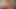 Thick Bear Dadbod Cock Fight and Bjs