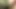Indian desi girl fucking in jungle   local friend when she escaped husband, An asian teen girl sex in jungle with her stepbrothe