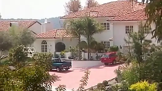 Tabu Classics (german): Boogie Now