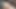 Soft uncut penis to hard and big cum shot in 5 minutes