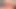 Creamy Pink Pussy