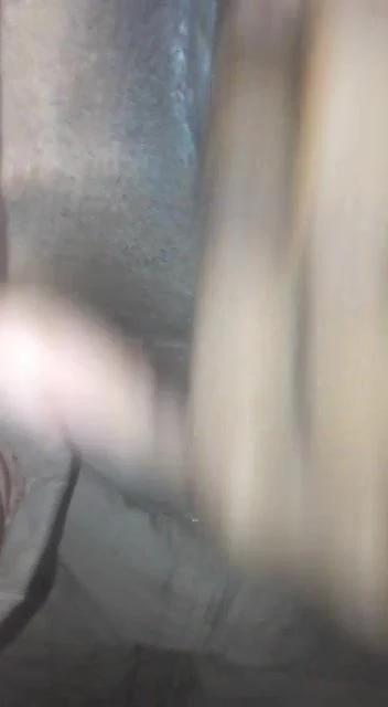 Squirt