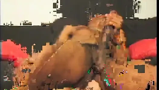 Sarışın orta yaşlı seksi kadın zenci delikanlıya biraz dağınık sakso çekiyor