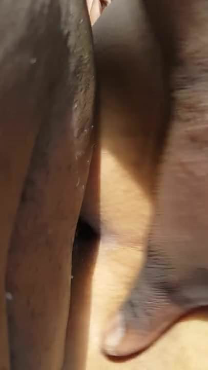 Morning fuck in the park